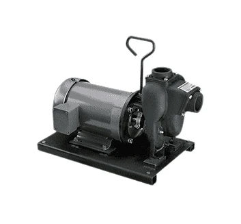 234PIE5 By Banjo | Centrifugal Pumps | 2" Cast Iron Pump With 5.0 HP Three Phase Electric Motor 2 234PIE5 By Banjo | Centrifugal Pumps | 2" Cast Iron Pump With 5.0 HP Three Phase Electric Motor - Image 2