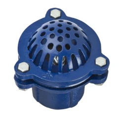FV200 By Kuriyama | Foot Valve Strainer | 2" Female NPT