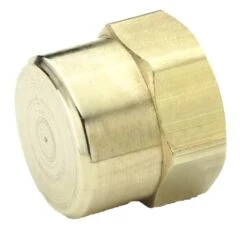 213P-2 By Parker | Cap | 1/8" Female Pipe Thread | 9/16" Hex | .50" Length | Brass | Pack Of 25