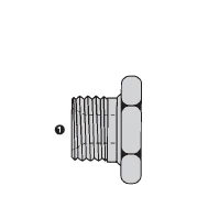 SS9030-20 By AdaptAll |-20 BSPP Hex Plug | Stainless Steel