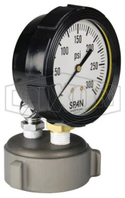 AFC150F-TGWP Dixon Aluminum Cap Test Gauge - 1-1/2" Female NST(NH)