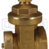 WDGV3025F Dixon Forged Brass Non-Rising Stem Wedge Disc Gate Valve - 3" Female NPT Inlet X 2-1/2" Male NST(NH) Outlet