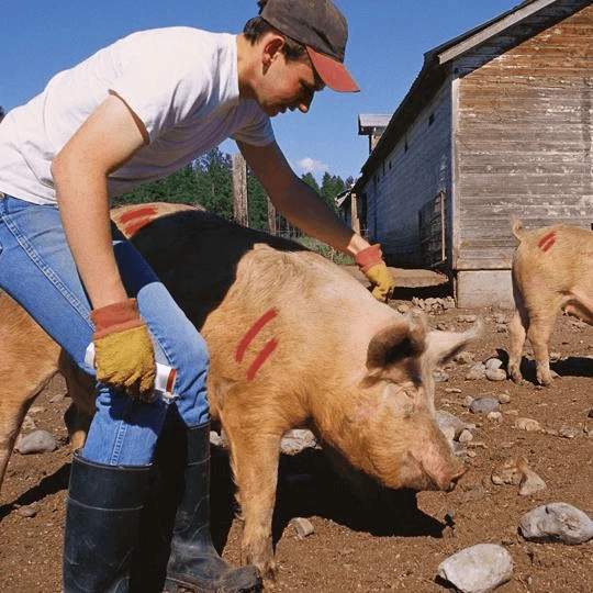 061040 By All-Weather | Twist-Stik Livestock Marker | Orange | Case Of 72 2 061040 By All-Weather | Twist-Stik Livestock Marker | Orange | Case Of 72 - Image 2